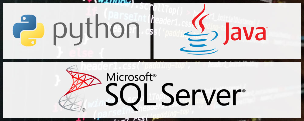 Python, Java, Microsoft SQL Server
