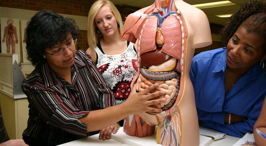 Biology class demonstration